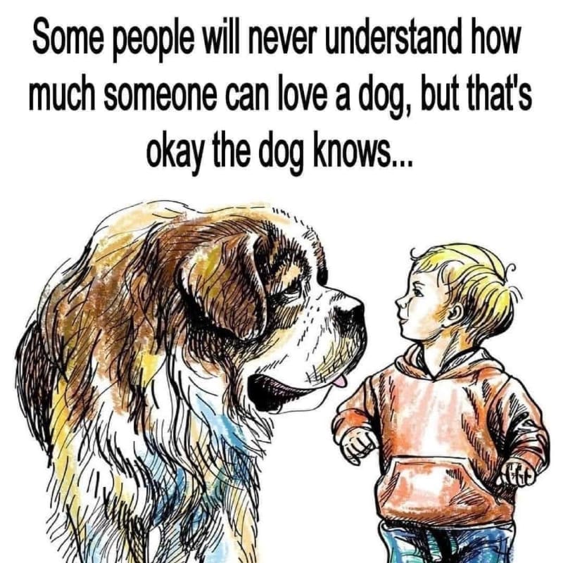 53a0fd23-2319-49de-970c-8d0228ef7291.png 53a0fd23-2319-49de-970c-8d0228ef7291.png